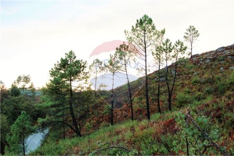 Helårsgrund i Fafe, Braga, Fafe - € 22.500 | Ref: 123331056-133 - foto 1