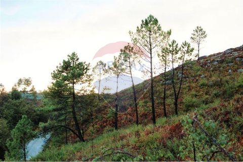 Helårsgrund i Fafe, Braga, Fafe - € 22.500 | Ref: 123331056-133 - foto 3