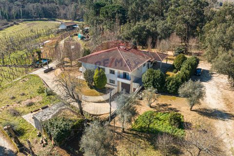 Villa i Celorico de Basto, Braga, Celorico de Basto - € 399.000 | Ref: 126221008-241 - foto 2