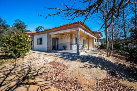Villa i Celorico de Basto, Braga, Celorico de Basto - € 399.000 | Ref: 126221008-241 - foto 4