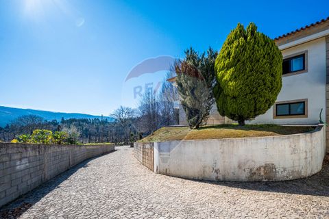 Villa i Celorico de Basto, Braga, Celorico de Basto - € 399.000 | Ref: 126221008-241 - foto 6