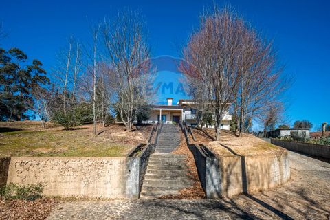 Villa i Celorico de Basto, Braga, Celorico de Basto - € 399.000 | Ref: 126221008-241 - foto 8