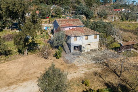 Villa i Celorico de Basto, Braga, Celorico de Basto - € 399.000 | Ref: 126221008-241 - foto 10