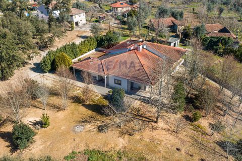 Villa i Celorico de Basto, Braga, Celorico de Basto - € 399.000 | Ref: 126221008-241 - foto 12