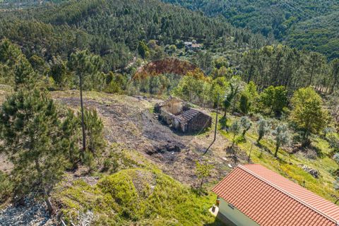 Villa i Celorico de Basto, Braga, Celorico de Basto - € 36.000 | Ref: 126221008-255 - foto 3