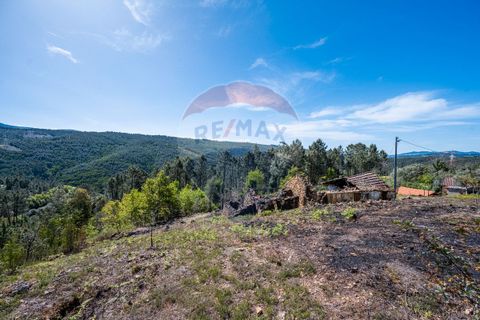 Villa i Celorico de Basto, Braga, Celorico de Basto - € 36.000 | Ref: 126221008-255 - foto 4