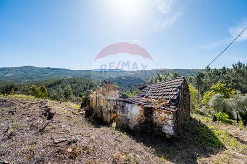 Villa i Celorico de Basto, Braga, Celorico de Basto - € 36.000 | Ref: 126221008-255 - foto 5