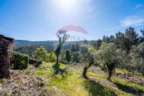 Villa i Celorico de Basto, Braga, Celorico de Basto - € 36.000 | Ref: 126221008-255 - foto 7