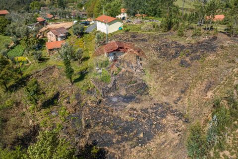 Villa i Celorico de Basto, Braga, Celorico de Basto - € 36.000 | Ref: 126221008-255 - foto 10