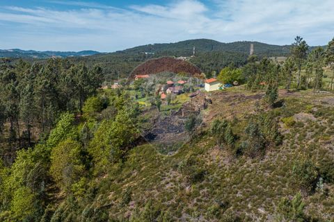 Villa i Celorico de Basto, Braga, Celorico de Basto - € 36.000 | Ref: 126221008-255 - foto 11