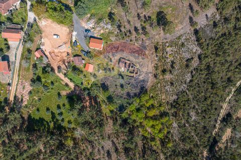 Villa i Celorico de Basto, Braga, Celorico de Basto - € 36.000 | Ref: 126221008-255 - foto 13