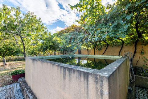 Villa i Ponte de Lima, Viana do Castelo, Ponte de Lima - € 400.000 | Ref: 123331167-306 - foto 13