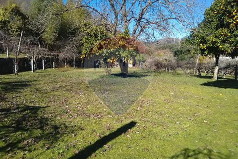 Farm i Arcos de Valdevez, Viana do Castelo, Arcos de Valdevez - € 280.000 | Ref: 123331167-307 - foto 7