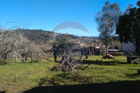 Farm i Arcos de Valdevez, Viana do Castelo, Arcos de Valdevez - € 280.000 | Ref: 123331167-307 - foto 11