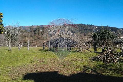 Farm i Arcos de Valdevez, Viana do Castelo, Arcos de Valdevez - € 280.000 | Ref: 123331167-307 - foto 13