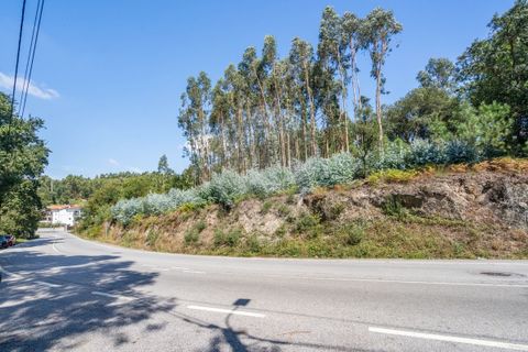 Helårsgrund i Braga, Braga, Braga - € 390.000 | Ref: 123331056-888 - foto 6