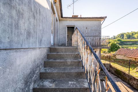 Villa i Celorico de Basto, Braga, Celorico de Basto - € 40.000 | Ref: 126221008-305 - foto 5