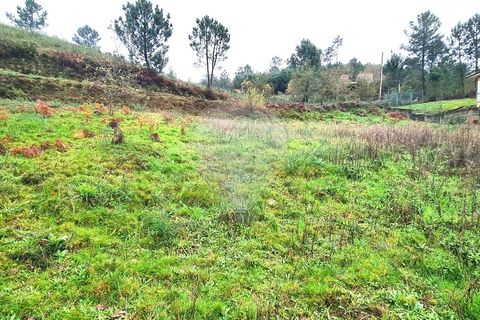 Helårsgrund i Ponte de Lima, Viana do Castelo, Ponte de Lima - € 29.000 | Ref: 123731008-386 - foto 3