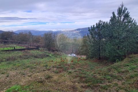 Helårsgrund i Ponte de Lima, Viana do Castelo, Ponte de Lima - € 29.000 | Ref: 123731008-386 - foto 10