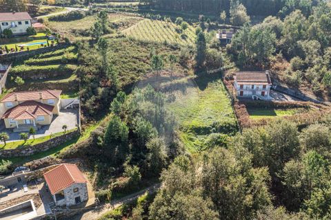 Helårsgrund i Ponte de Lima, Viana do Castelo, Ponte de Lima - € 29.000 | Ref: 123731008-386 - foto 13