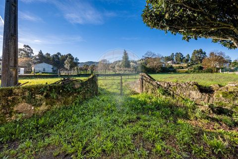 Helårsgrund i Ponte de Lima, Viana do Castelo, Ponte de Lima - € 90.000 | Ref: 123731008-387 - foto 12