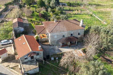 Farm i Ponte de Lima, Viana do Castelo, Ponte de Lima - € 950.000 | Ref: 123731008-388 - foto 3