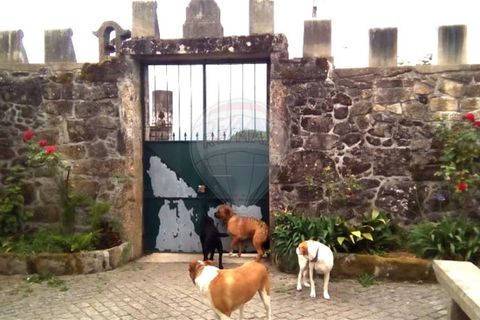 Farm i Ponte de Lima, Viana do Castelo, Ponte de Lima - € 950.000 | Ref: 123731008-388 - foto 5
