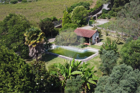 Farm i Ponte de Lima, Viana do Castelo, Ponte de Lima - € 950.000 | Ref: 123731008-388 - foto 7