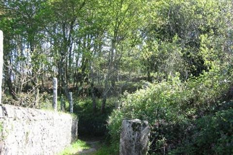 Helårsgrund i Santo Tirso, Porto, Santo Tirso - € 245.000 | Ref: 120761039-343 - foto 6