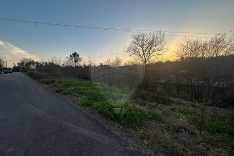 Helårsgrund i Arcos de Valdevez, Viana do Castelo, Arcos de Valdevez - € 220.000 | Ref: 123331167-362 - foto 2