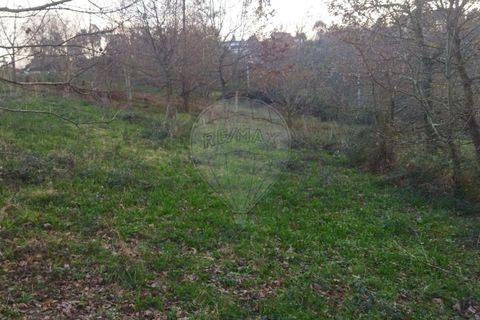 Helårsgrund i Arcos de Valdevez, Viana do Castelo, Arcos de Valdevez - € 220.000 | Ref: 123331167-362 - foto 7