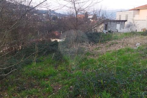 Helårsgrund i Arcos de Valdevez, Viana do Castelo, Arcos de Valdevez - € 220.000 | Ref: 123331167-362 - foto 8