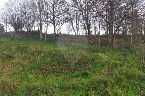 Helårsgrund i Arcos de Valdevez, Viana do Castelo, Arcos de Valdevez - € 220.000 | Ref: 123331167-362 - foto 9