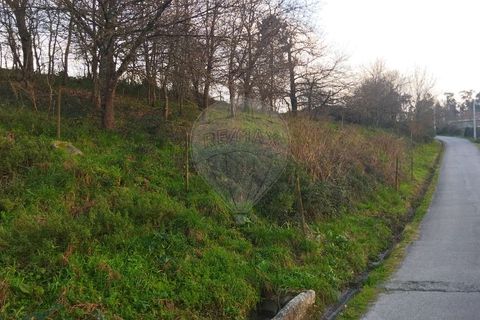 Helårsgrund i Arcos de Valdevez, Viana do Castelo, Arcos de Valdevez - € 220.000 | Ref: 123331167-362 - foto 10