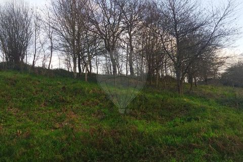 Helårsgrund i Arcos de Valdevez, Viana do Castelo, Arcos de Valdevez - € 220.000 | Ref: 123331167-362 - foto 11