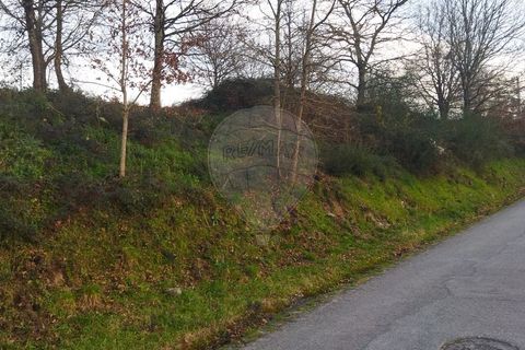 Helårsgrund i Arcos de Valdevez, Viana do Castelo, Arcos de Valdevez - € 220.000 | Ref: 123331167-362 - foto 13