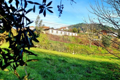 Farm i Terras de Bouro, Braga, Terras de Bouro - € 995.000 | Ref: 125901007-184 - foto 8