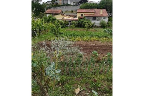 Helårsgrund i Agueda, Aveiro, Agueda - € 33.500 | Ref: TER_575 - foto 1