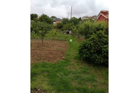 Helårsgrund i Agueda, Aveiro, Agueda - € 33.500 | Ref: TER_575 - foto 2