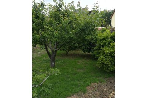 Helårsgrund i Agueda, Aveiro, Agueda - € 33.500 | Ref: TER_575 - foto 3
