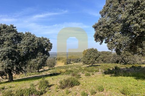 Landejendom i Rosmaninhal, Castelo Branco, Rosmaninhal - € 900.000 | Ref: PB2024386 - foto 2
