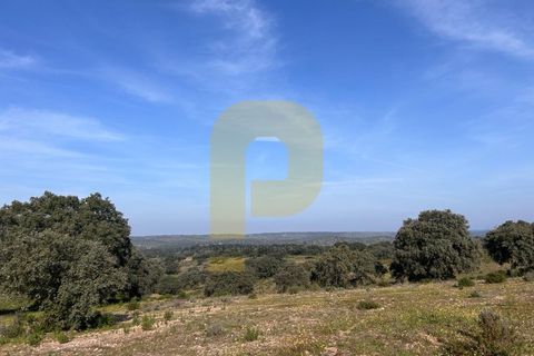 Landejendom i Rosmaninhal, Castelo Branco, Rosmaninhal - € 900.000 | Ref: PB2024386 - foto 3