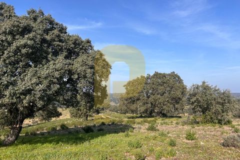 Landejendom i Rosmaninhal, Castelo Branco, Rosmaninhal - € 900.000 | Ref: PB2024386 - foto 1