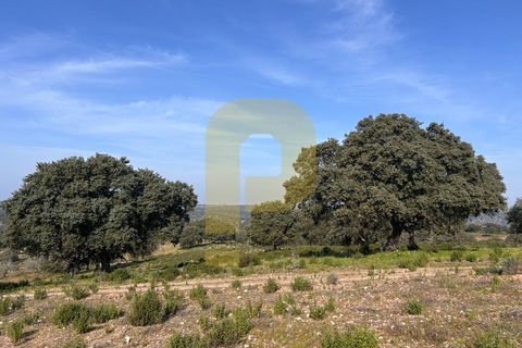 Landejendom i Rosmaninhal, Castelo Branco, Rosmaninhal - € 900.000 | Ref: PB2024386 - foto 6