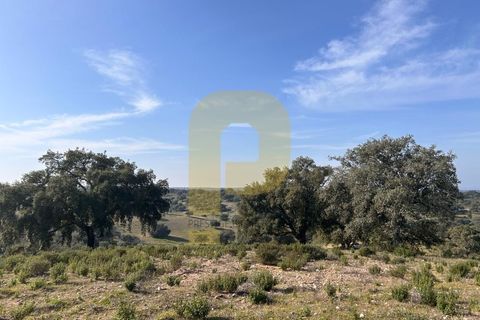Landejendom i Rosmaninhal, Castelo Branco, Rosmaninhal - € 900.000 | Ref: PB2024386 - foto 10