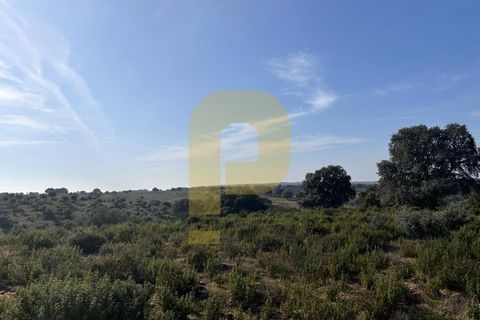 Landejendom i Rosmaninhal, Castelo Branco, Rosmaninhal - € 900.000 | Ref: PB2024386 - foto 12