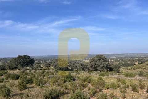 Landejendom i Rosmaninhal, Castelo Branco, Rosmaninhal - € 900.000 | Ref: PB2024386 - foto 13