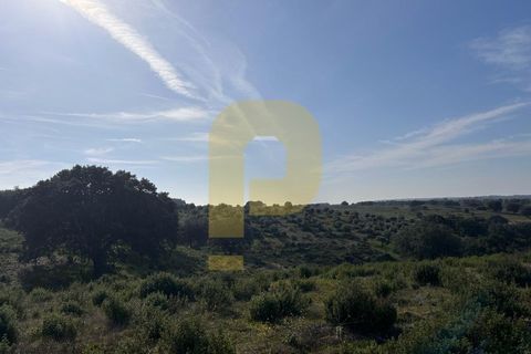 Landejendom i Rosmaninhal, Castelo Branco, Rosmaninhal - € 900.000 | Ref: PB2024386 - foto 15