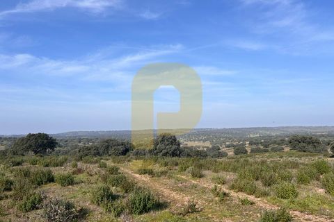 Landejendom i Rosmaninhal, Castelo Branco, Rosmaninhal - € 900.000 | Ref: PB2024386 - foto 16