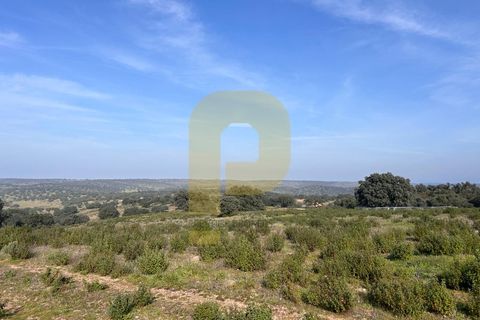 Landejendom i Rosmaninhal, Castelo Branco, Rosmaninhal - € 900.000 | Ref: PB2024386 - foto 17